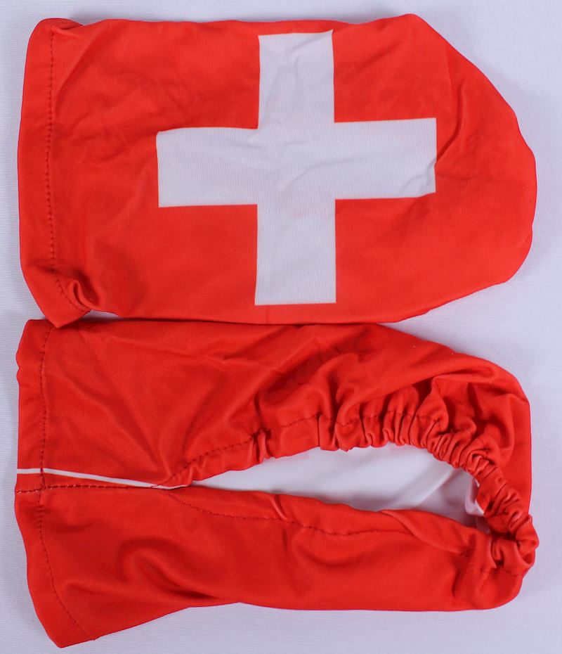 Auto Aussenspiegel Verkleidung Schweiz